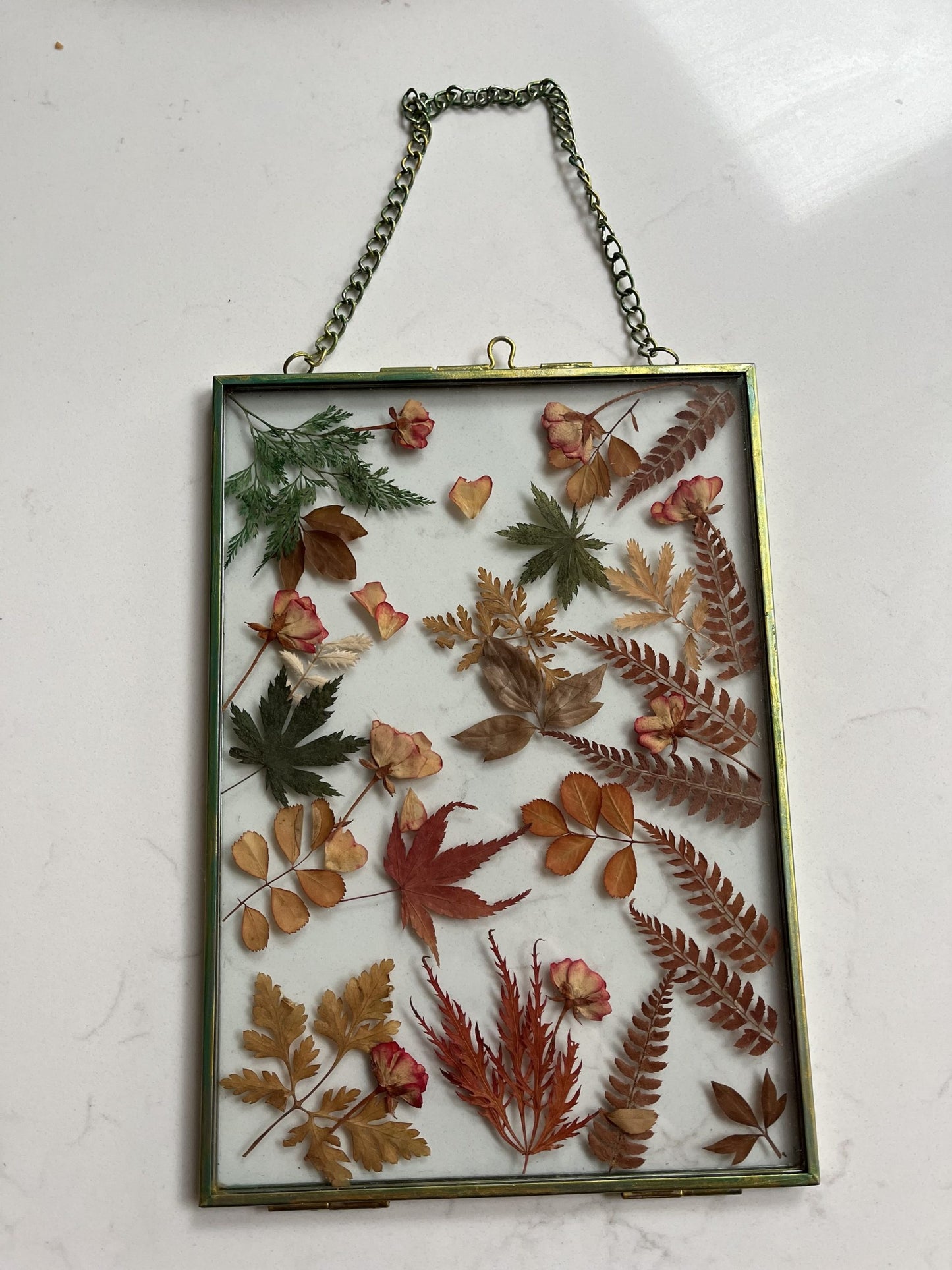 Dried real flower glass framed wall hanging