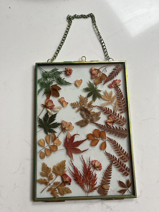 Dried real flower glass framed wall hanging