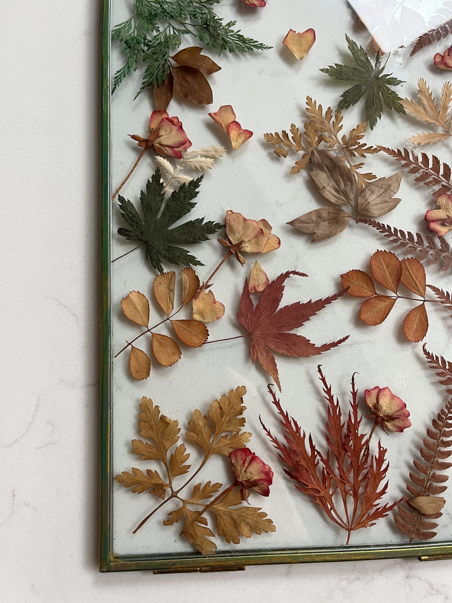 Dried real flower glass framed wall hanging