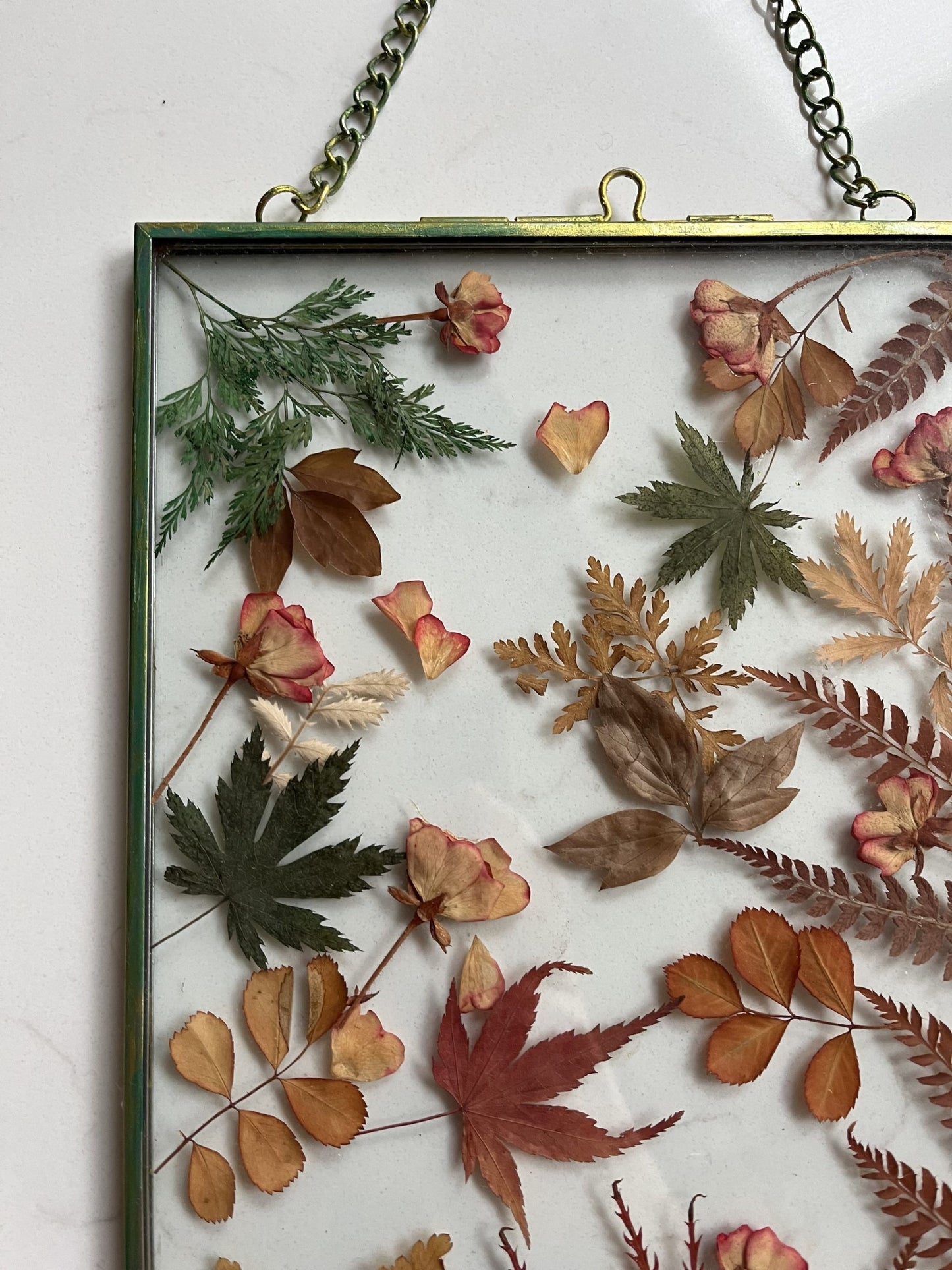 Dried real flower glass framed wall hanging