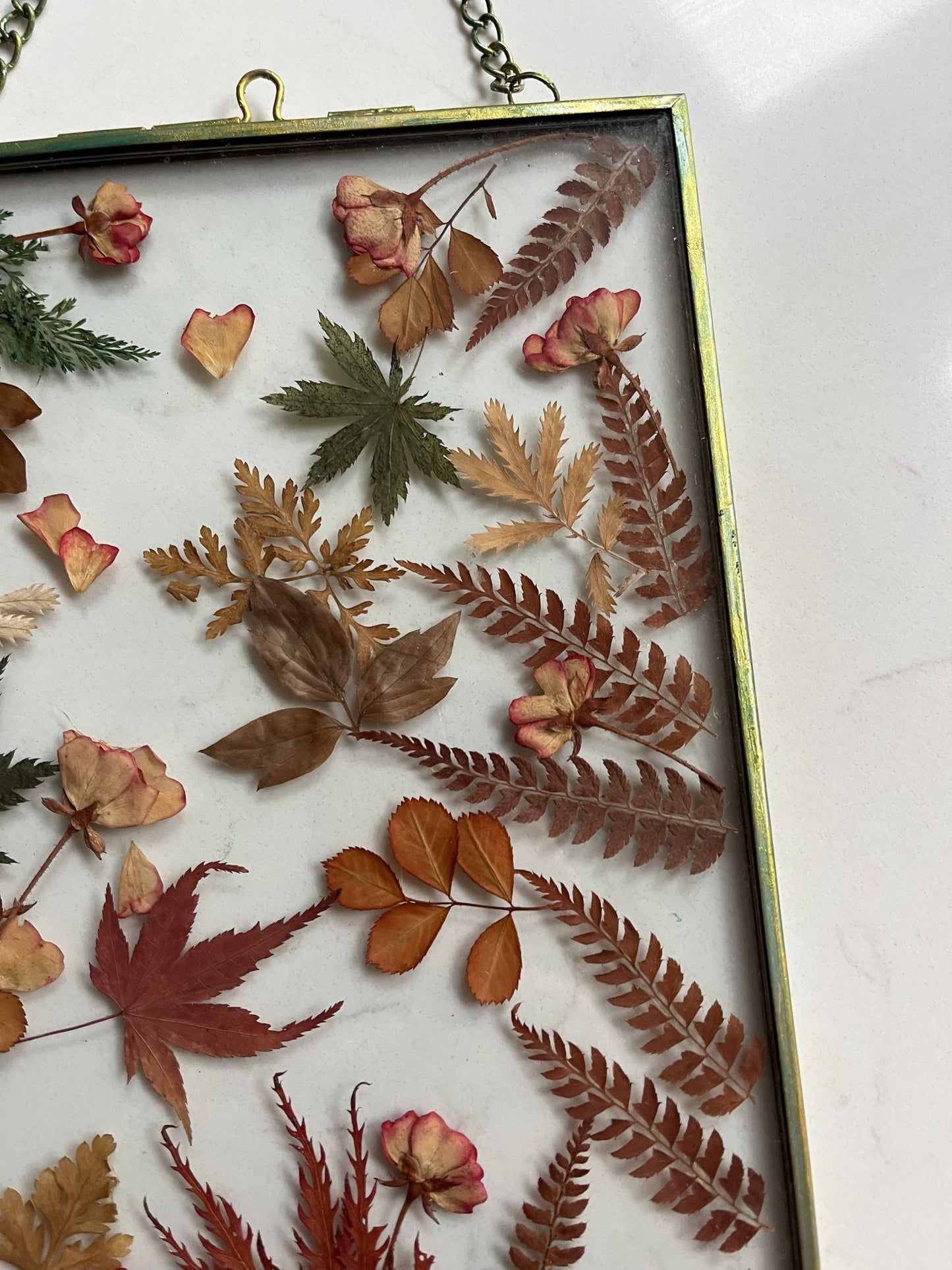 Dried real flower glass framed wall hanging