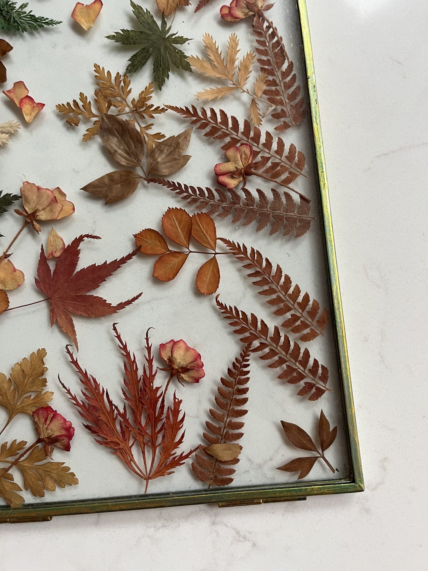 Dried real flower glass framed wall hanging