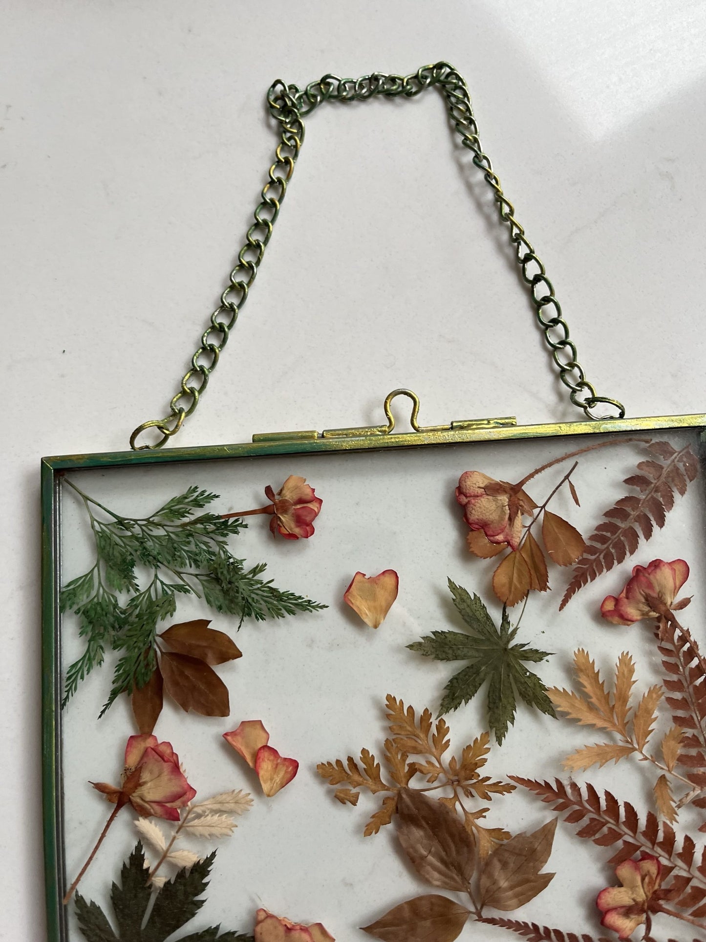 Dried real flower glass framed wall hanging
