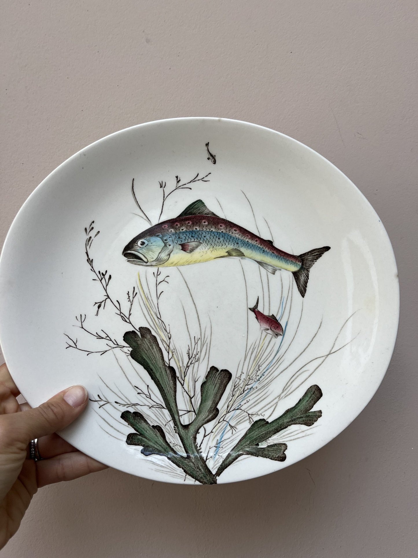 Set of three Johnson Bros fish plates no. 5, no. 3 and no.7