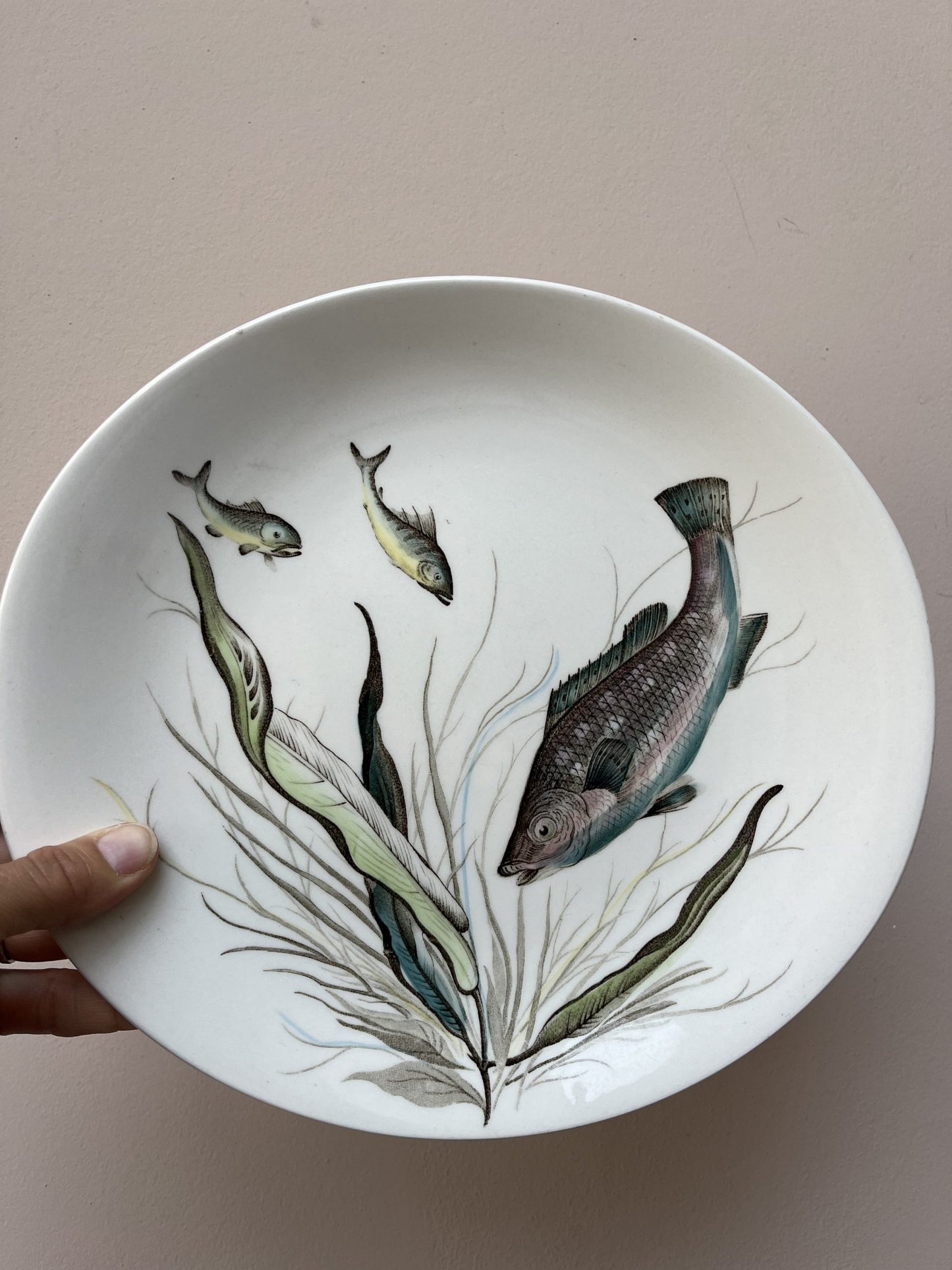 Set of three Johnson Bros fish plates no. 5, no. 3 and no.7