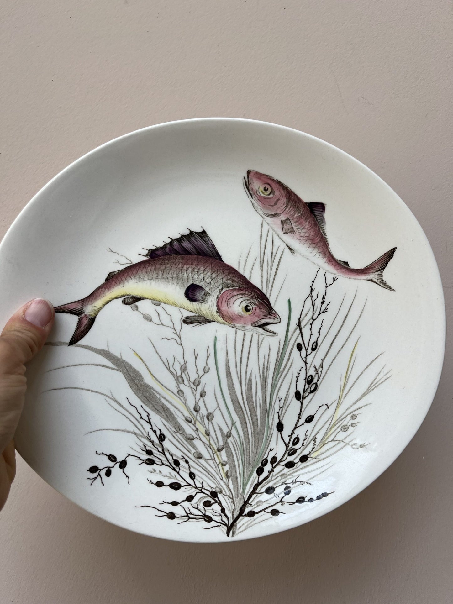 Set of three Johnson Bros fish plates no. 5, no. 3 and no.7